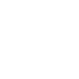 shunya